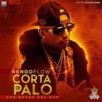 Ñengo Flow - Corta Y Palo MP3